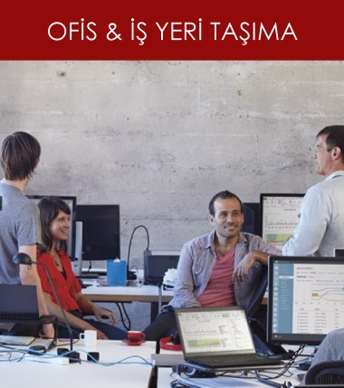 ofis